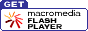 Descargar PLug Flash